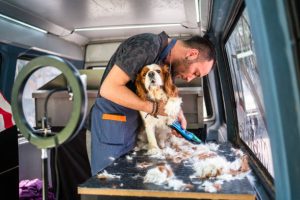 Mobile Pet Grooming