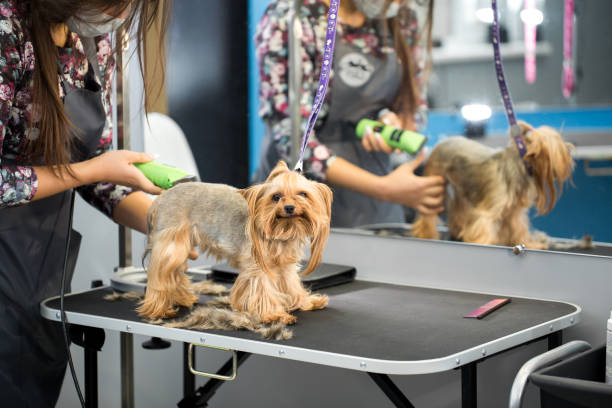 Mobile Pet Grooming Franchise