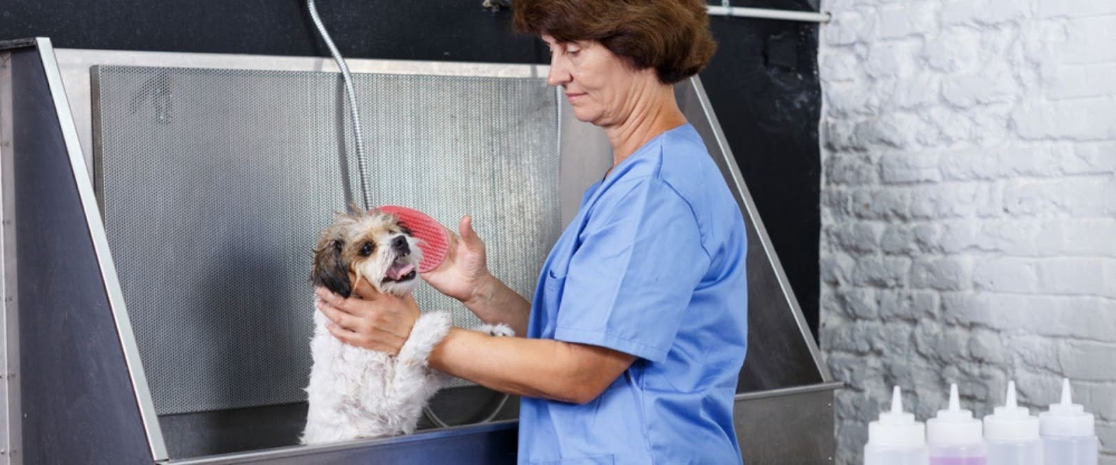 Mobile dog washing services