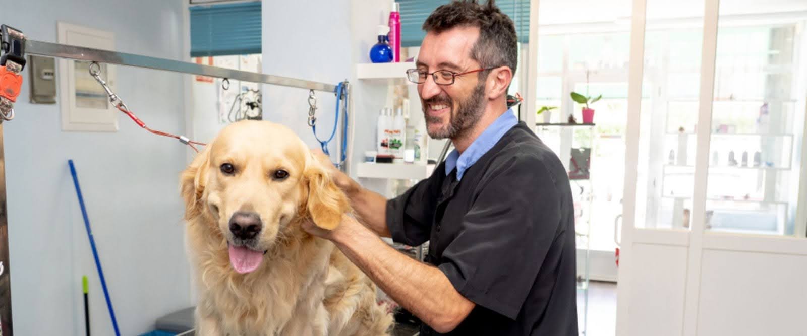 Pet wash franchise cost