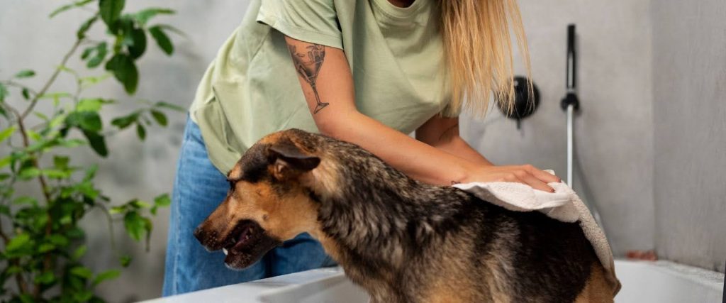 how long does dog grooming take