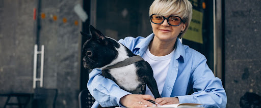Do You Need a License to Groom Dogs?