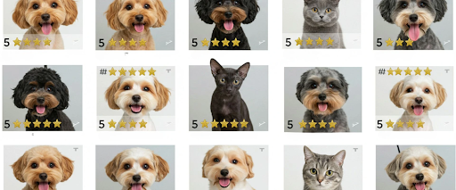 grooming customer retention
