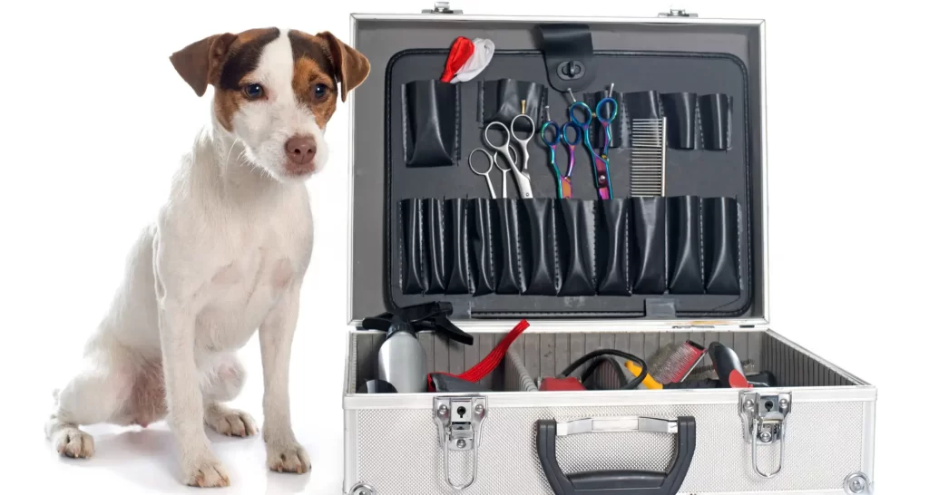 Pet Grooming Equipment Maintainance for Longevity