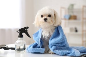 Reduce-dog-grooming-anxiety