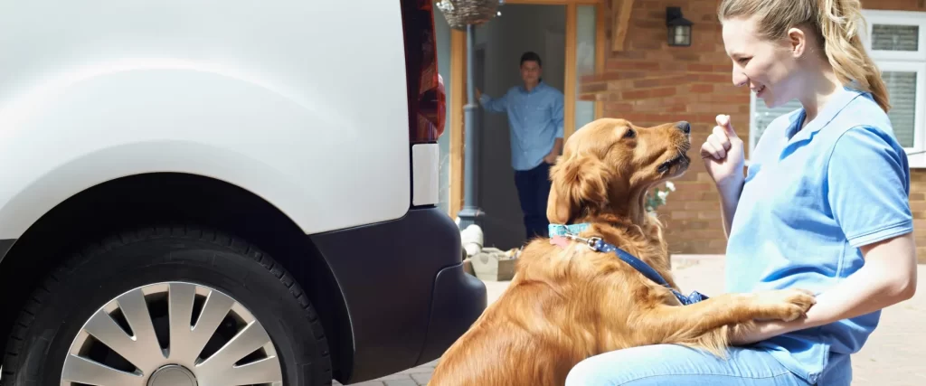 at-home mobile grooming