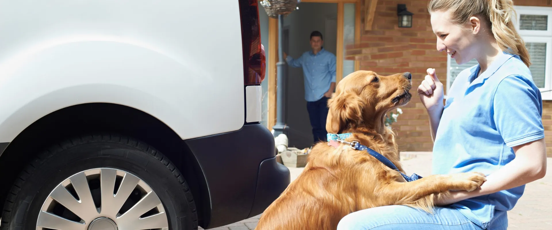 at-home mobile grooming