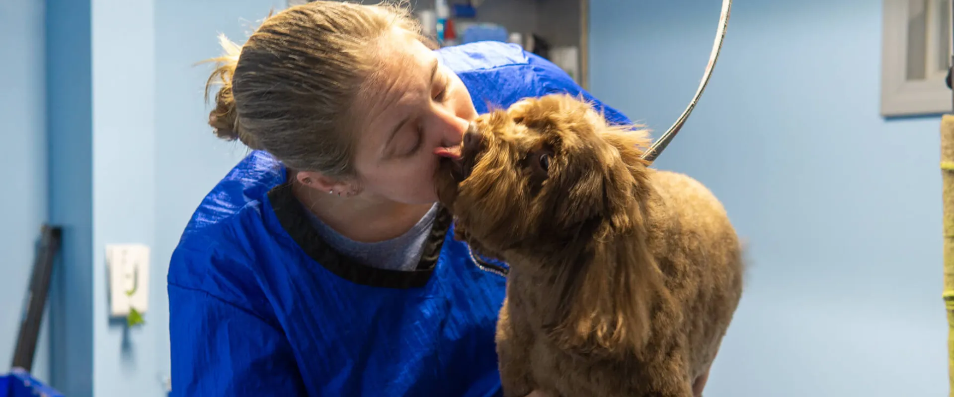 personalized grooming experience