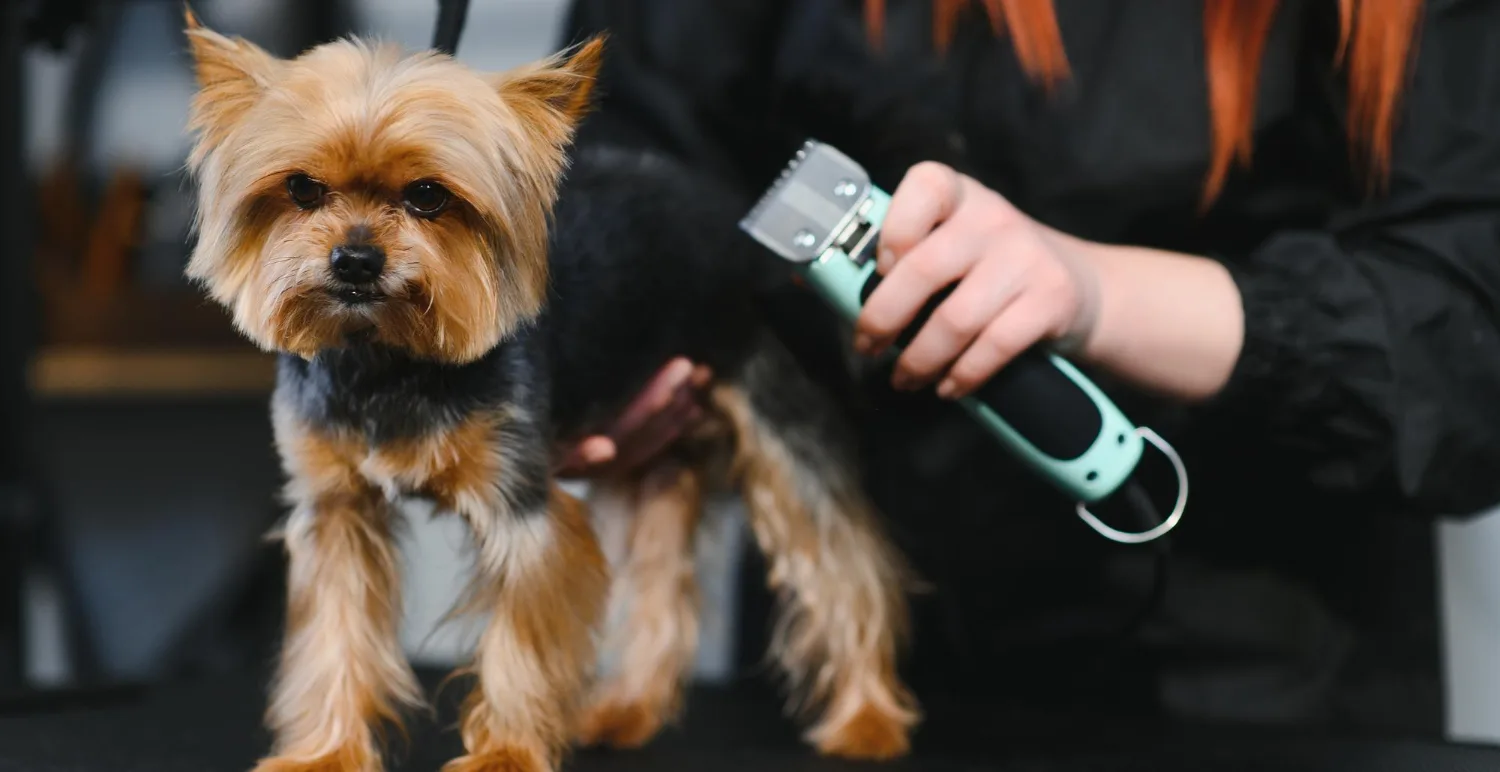 Dog Clippers