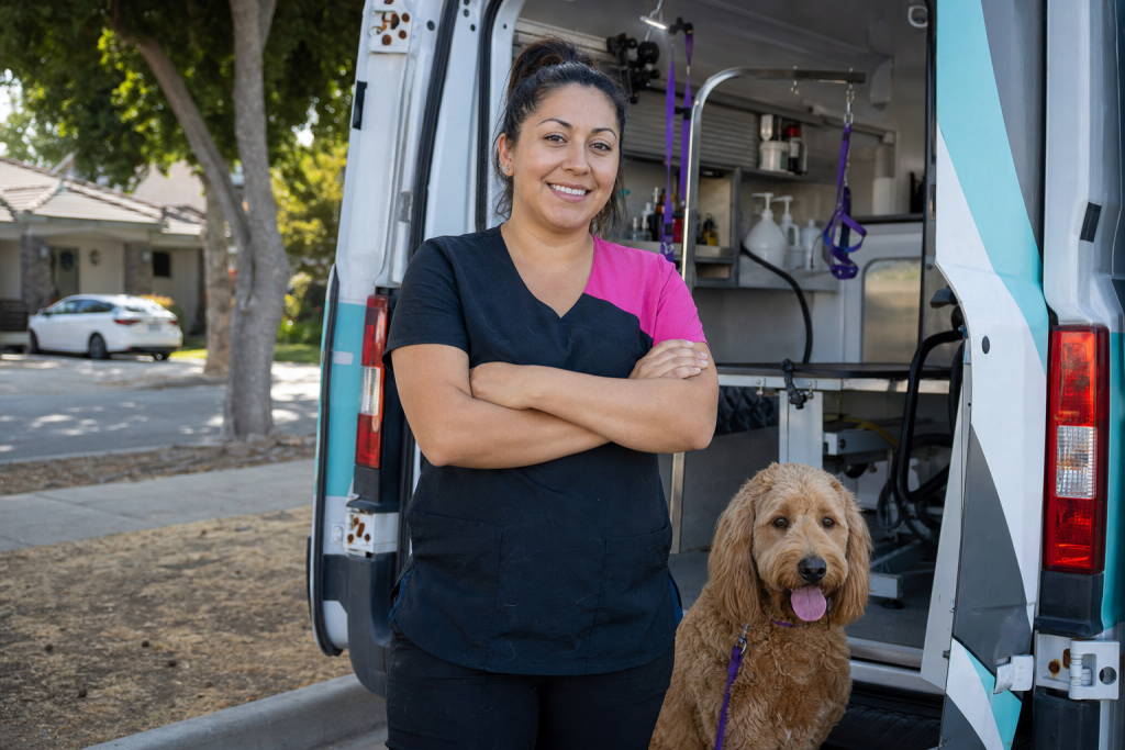 Dog Daycare Franchise vs. Mobile Grooming Franchise: A Cost-by-Cost Breakdown